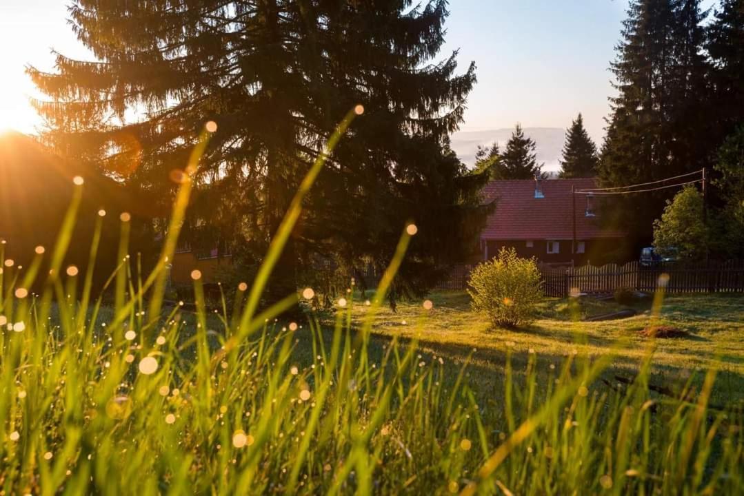 Villa Piricske Pihenohaz Ciceu Exterior foto